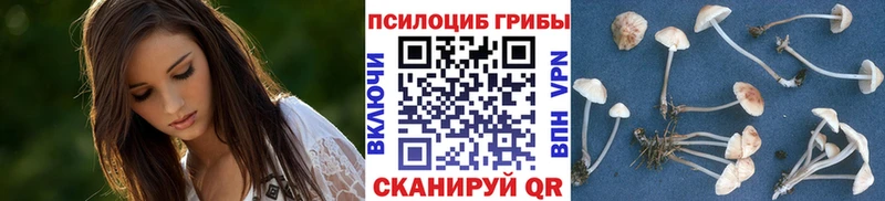 Купить закладки  Калач-на-Дону  Галлюциногенные грибы Psilocybine cubensis 